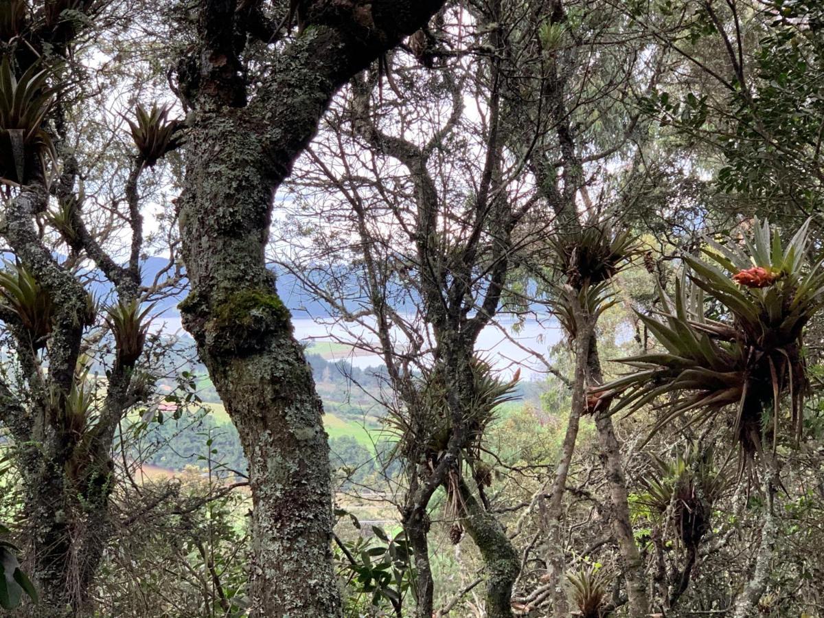 Mirador Bosque Gran Torino Neusa Cogua Εξωτερικό φωτογραφία