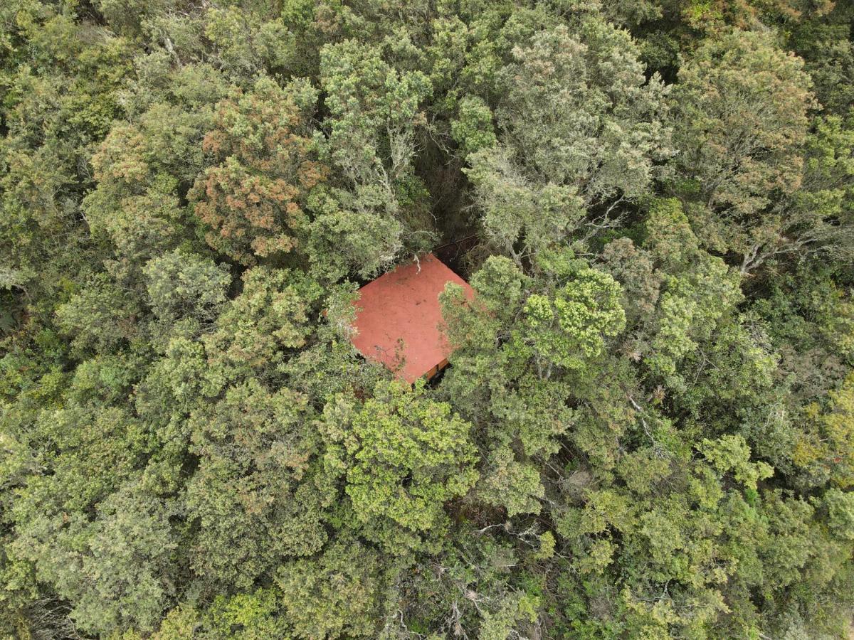 Mirador Bosque Gran Torino Neusa Cogua Εξωτερικό φωτογραφία