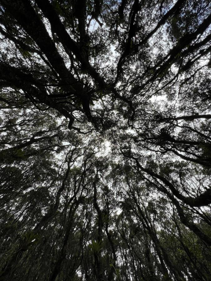 Mirador Bosque Gran Torino Neusa Cogua Εξωτερικό φωτογραφία